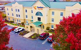 Comfort Suites East Brunswick